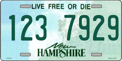 NH license plate 1237929