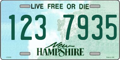NH license plate 1237935