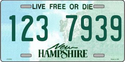 NH license plate 1237939