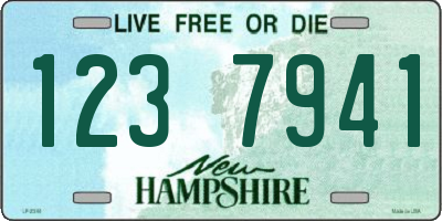 NH license plate 1237941