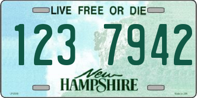 NH license plate 1237942