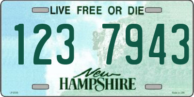 NH license plate 1237943