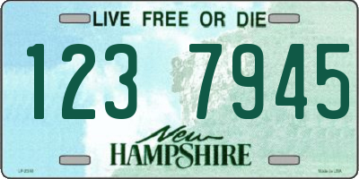 NH license plate 1237945
