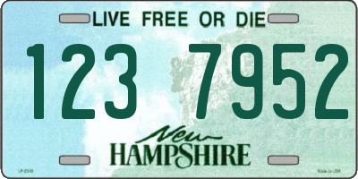 NH license plate 1237952