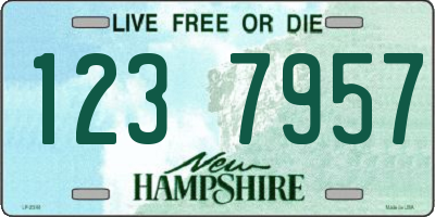 NH license plate 1237957