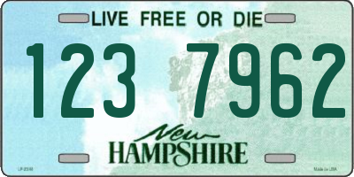 NH license plate 1237962