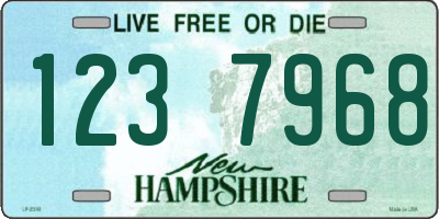 NH license plate 1237968