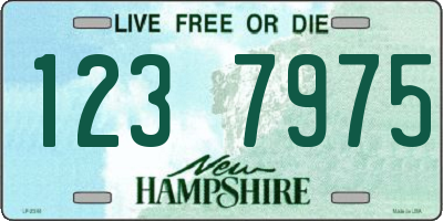 NH license plate 1237975