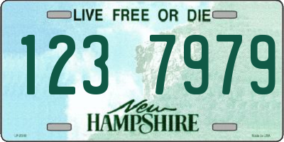 NH license plate 1237979