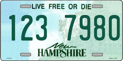 NH license plate 1237980