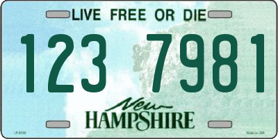 NH license plate 1237981