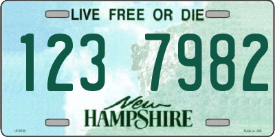NH license plate 1237982