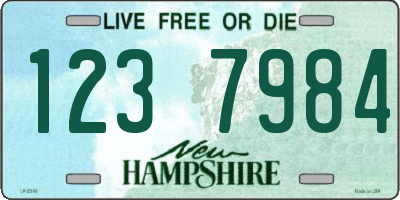 NH license plate 1237984
