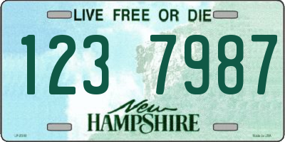 NH license plate 1237987