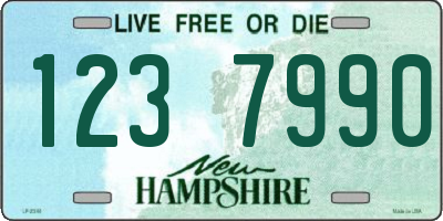 NH license plate 1237990