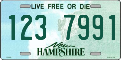 NH license plate 1237991