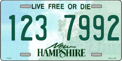 NH license plate 1237992