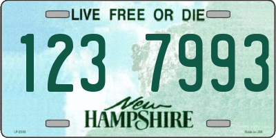 NH license plate 1237993