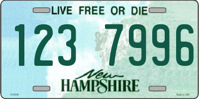 NH license plate 1237996