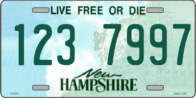 NH license plate 1237997