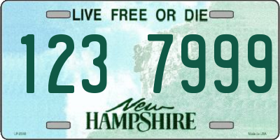 NH license plate 1237999
