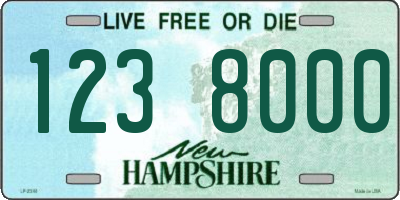 NH license plate 1238000