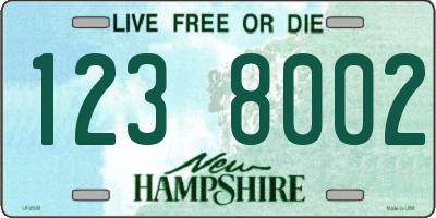 NH license plate 1238002