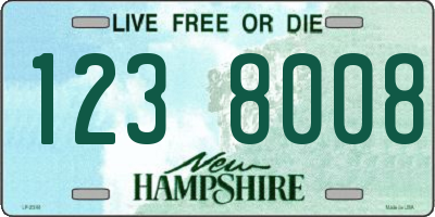 NH license plate 1238008