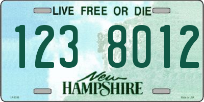 NH license plate 1238012