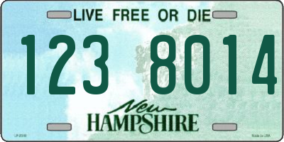 NH license plate 1238014