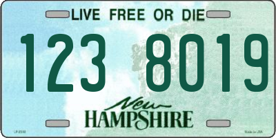 NH license plate 1238019