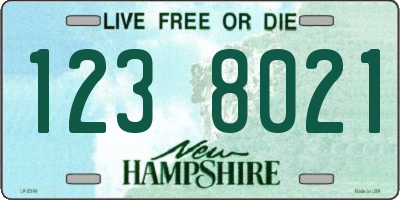 NH license plate 1238021