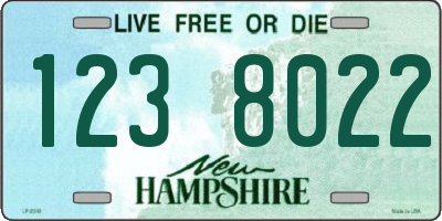 NH license plate 1238022