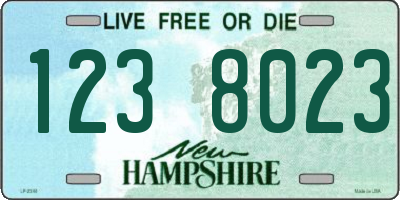 NH license plate 1238023