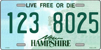 NH license plate 1238025