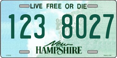 NH license plate 1238027