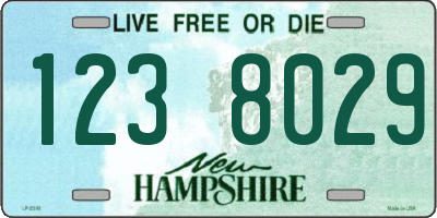 NH license plate 1238029