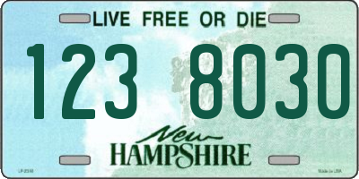 NH license plate 1238030