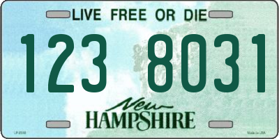 NH license plate 1238031