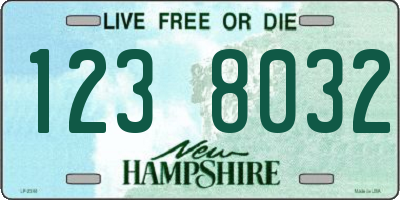 NH license plate 1238032