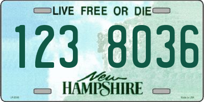 NH license plate 1238036