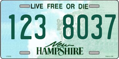 NH license plate 1238037
