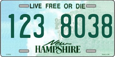 NH license plate 1238038