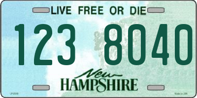 NH license plate 1238040