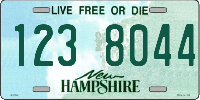 NH license plate 1238044