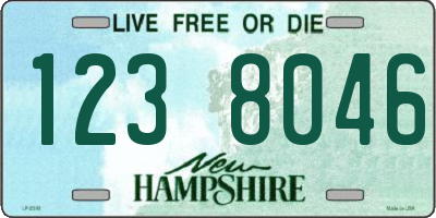 NH license plate 1238046