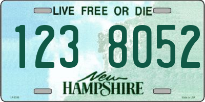 NH license plate 1238052