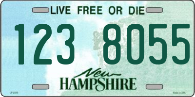 NH license plate 1238055