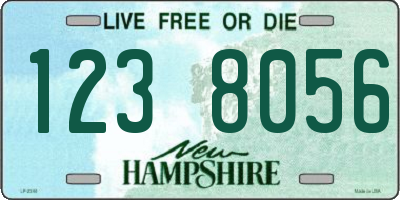 NH license plate 1238056