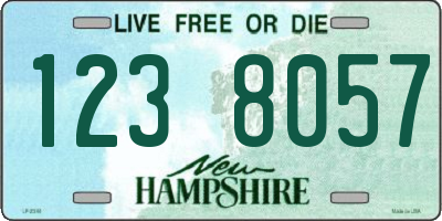 NH license plate 1238057